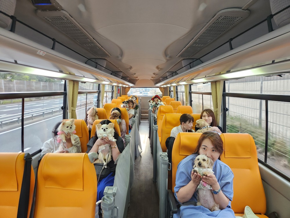 愛犬とともに旅を楽しむバスツアー『“世界に１台だけのわんちゃん専用バス”で行く「ルシアン旧軽井沢」に泊まる軽井沢２日間』を催行！